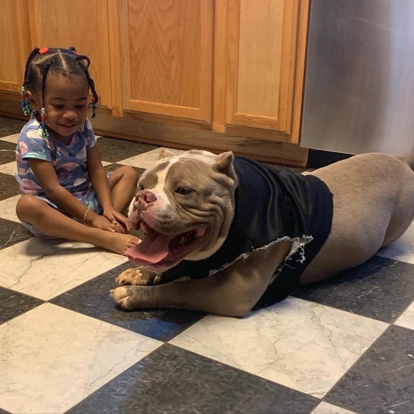 Women’s Bred Inc fiend$ jogger hoodie short set - Picture 5 of 6